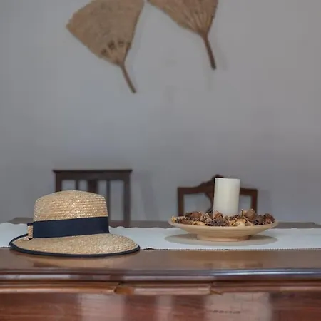 Casa de Férias Memorias Nogueira da Regedoura