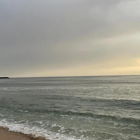 Memorias * Nogueira da Regedoura