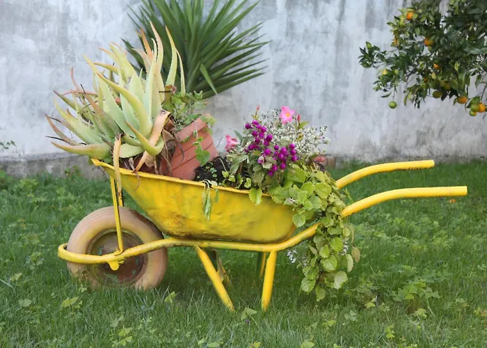 Feriehus Memorias Nogueira da Regedoura