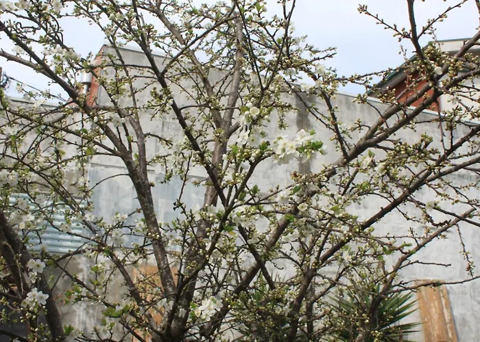 Holiday home Memorias Nogueira da Regedoura