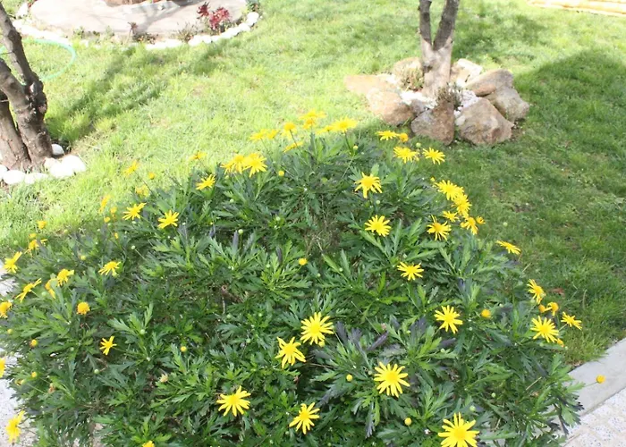 Memorias Nogueira da Regedoura