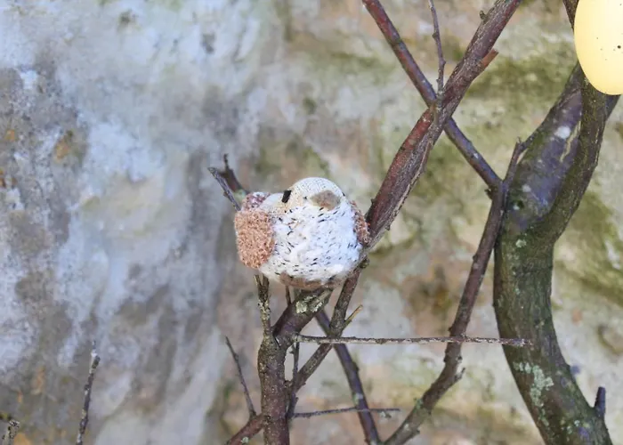 Memorias Holiday home Nogueira da Regedoura