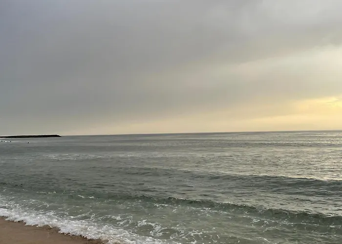 Memorias * Nogueira da Regedoura